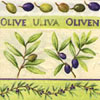 Olivy III