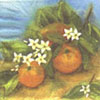 Pomeranče