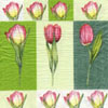 Tulipány