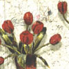Tulipány