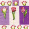 Tulipány