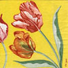 Tulipány